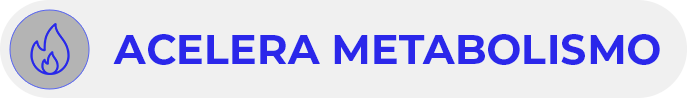 Agrupar-1-1-copia-2.png